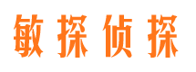 北湖市私家侦探